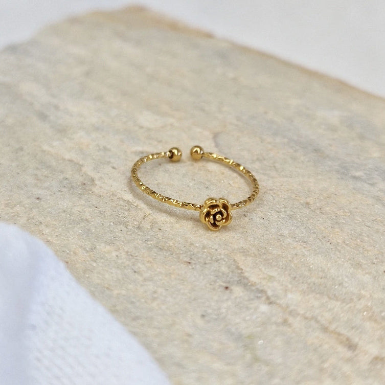 Ring &