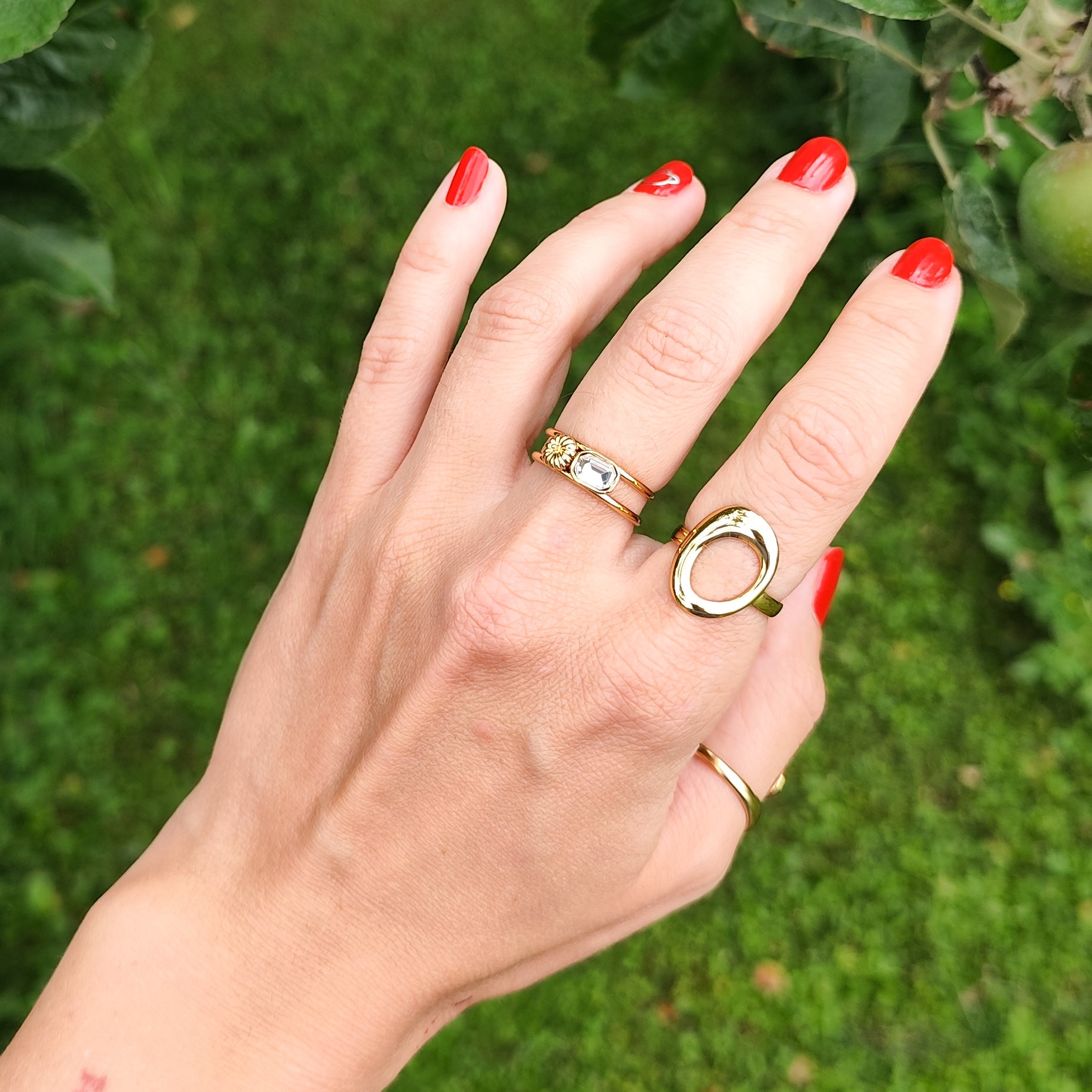Ring &