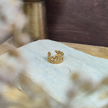 Ring &