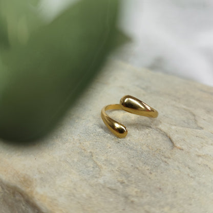 Ring &